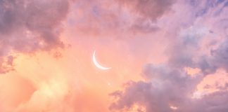 Розовые сны