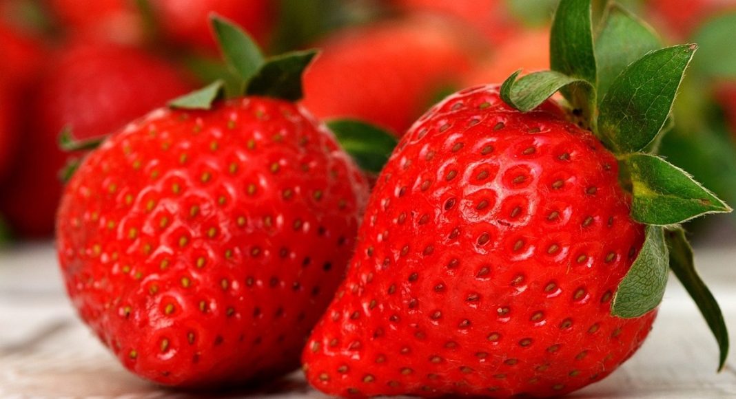 Изображение из фотобанка Клубника