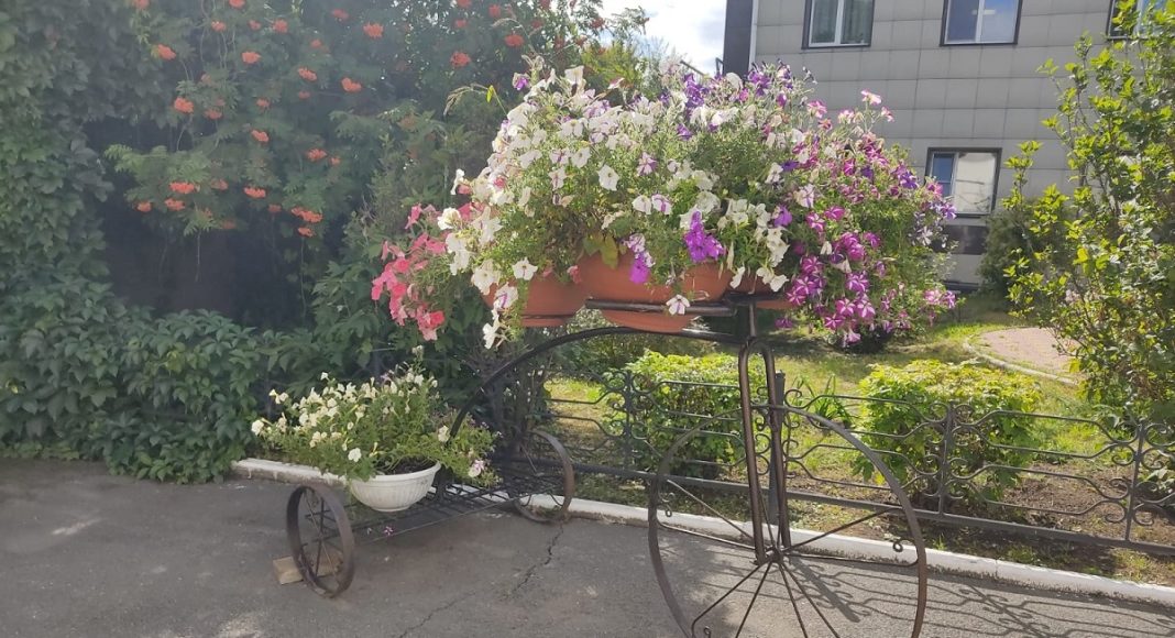 Фото Администрации Абакана