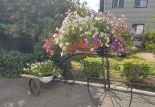 Фото Администрации Абакана