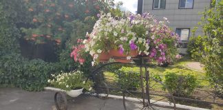 Фото Администрации Абакана