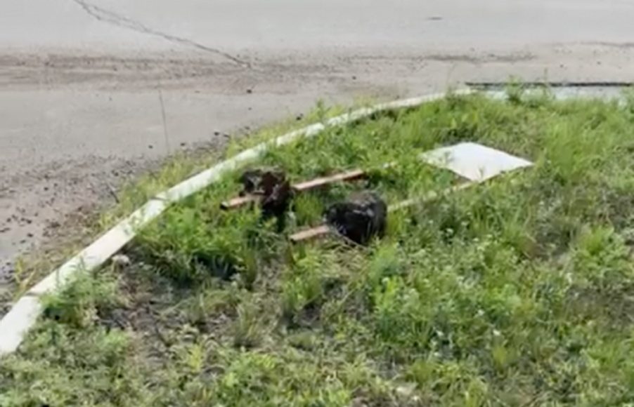 Фото: Абакан.рф