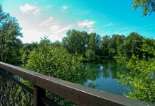 Фото Натальи Фроловой