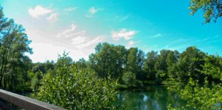 Фото Натальи Фроловой