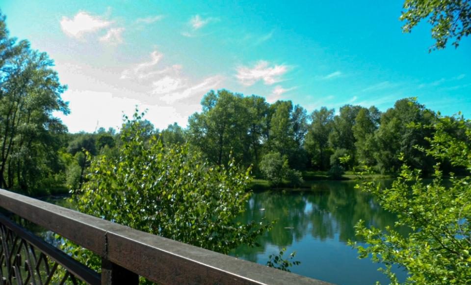 Фото Натальи Фроловой