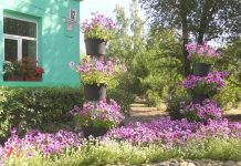 Фото из телеграм-канала администрации Черногорска