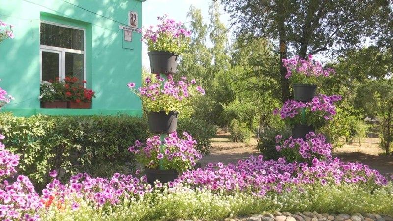 Фото из телеграм-канала администрации Черногорска