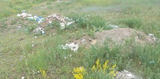 Фото предоставлено пресс-службой Россельхознадзора РХ