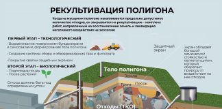 Рекультивация полигона. Изображение из телеграм-канала главы Саяногорска
