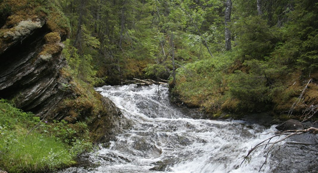 Река. Картинка из фотобанка