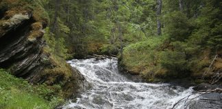 Река. Картинка из фотобанка