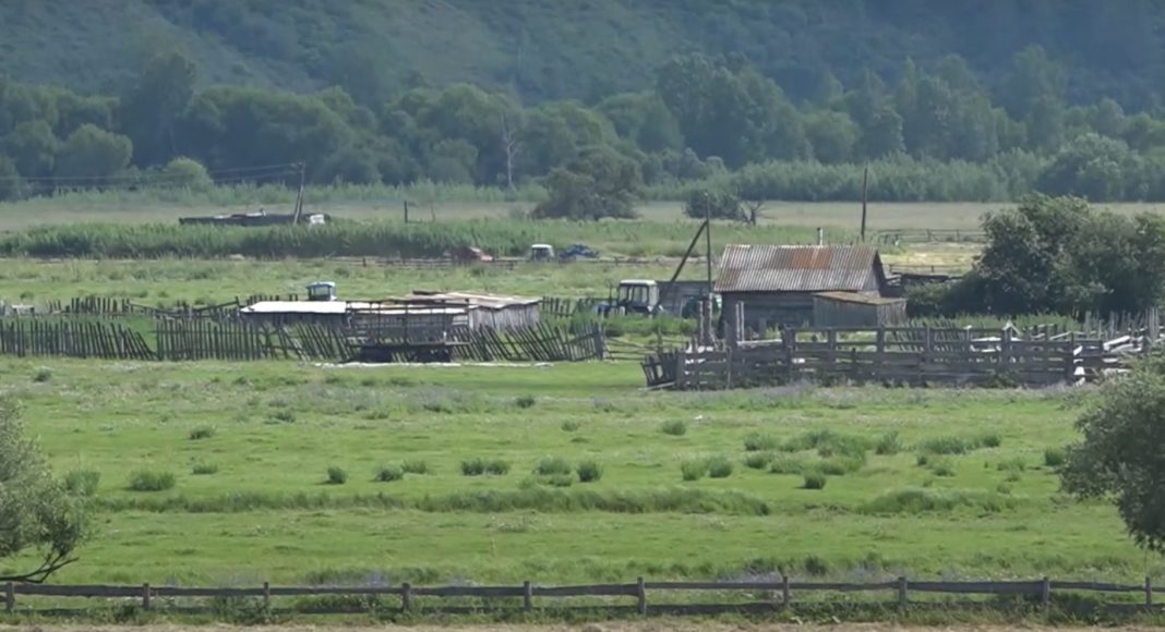 Аал Печень. Кадр съемки ГТРК «Хакасия»