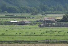 Аал Печень. Кадр съемки ГТРК «Хакасия»