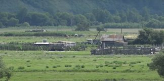 Аал Печень. Кадр съемки ГТРК «Хакасия»