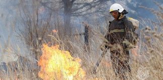 Фото пресс-службы МЧС Хакасии