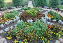 Фото: Абакан.рф