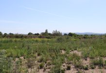 Фото: Абакан.рф