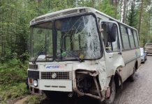 Фото ГСУ СК по Красноярскому краю и РХ