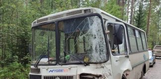 Фото ГСУ СК по Красноярскому краю и РХ