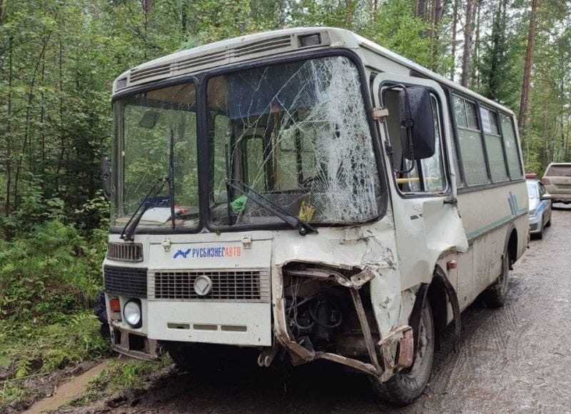 Фото ГСУ СК по Красноярскому краю и РХ