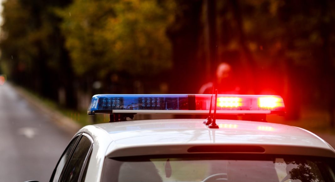 Фото из телеграм-канала МВД Фото из телеграм-канала МВД