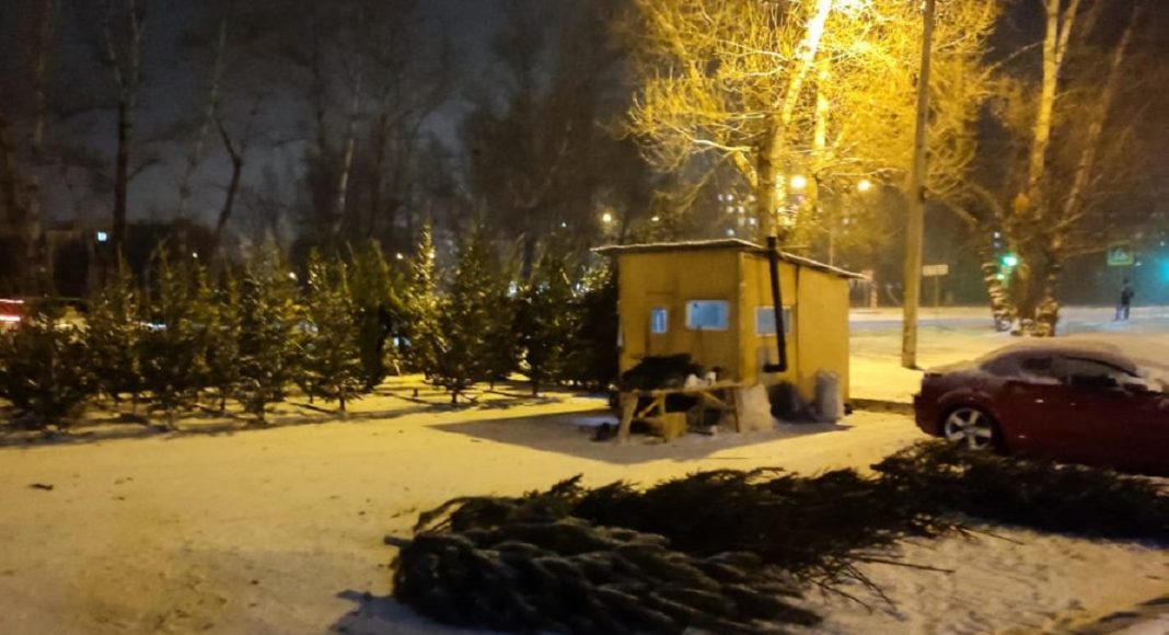 Фото Администрации Абакана Елочный базар