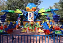 Аттракцион "Биоробот"