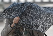 Ветер, зонт