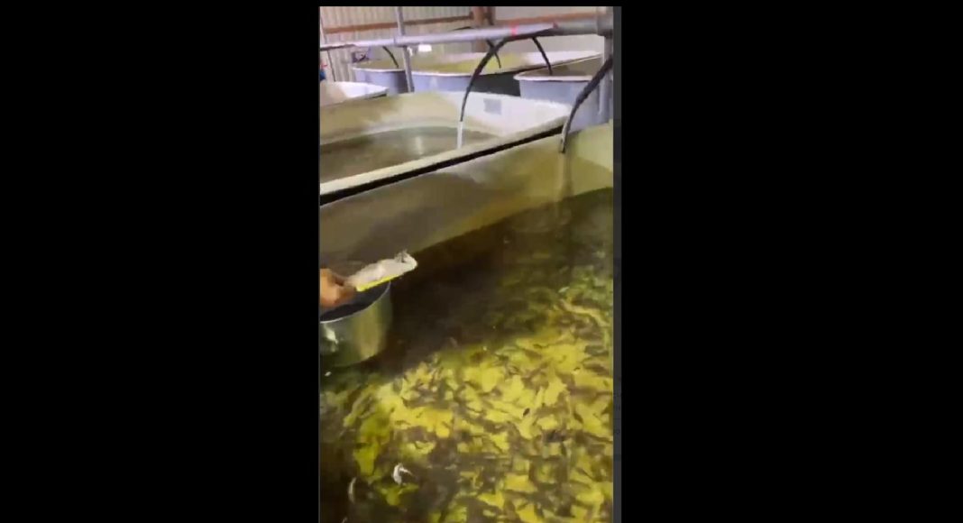 Кадр съемки СГК Кадр съемки СГК