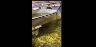 Кадр съемки СГК