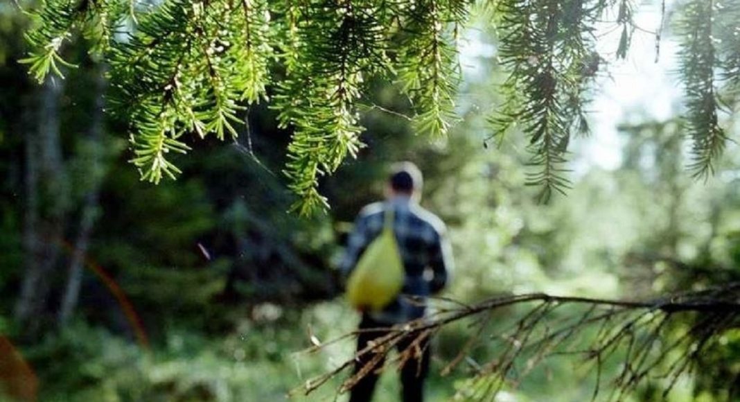 Фото пресс-службы МЧС Хакасии