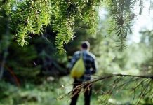 Фото пресс-службы МЧС Хакасии