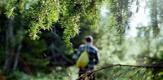 Фото пресс-службы МЧС Хакасии