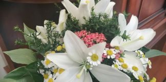 Фото Администрации Абакана