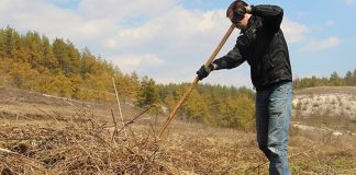 Фото пресс-службы МЧС Хакасии