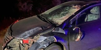 ДТП. Авария