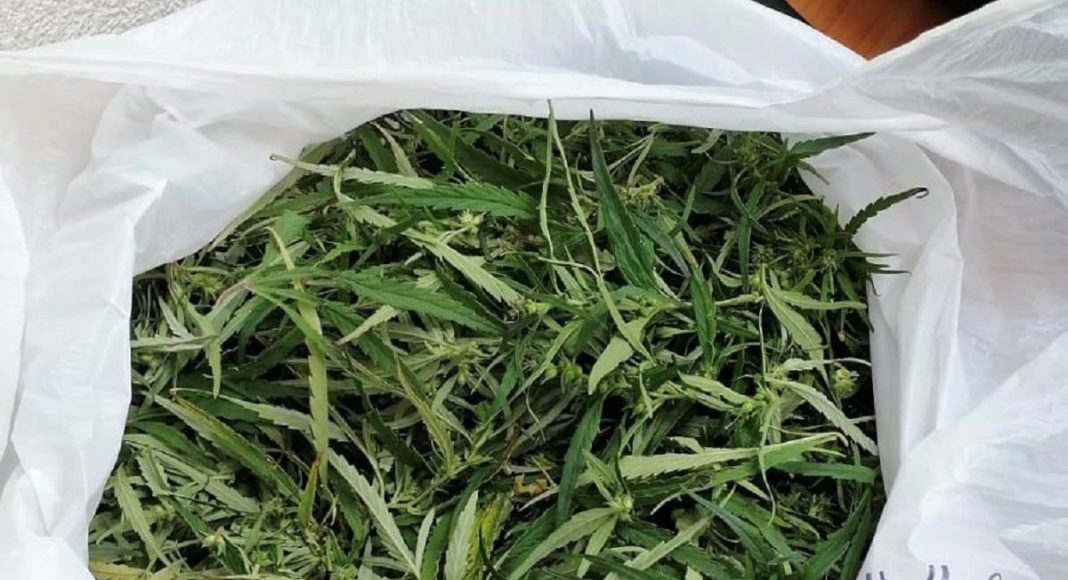 Фото пресс-службы МВД Хакасии