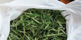 Фото пресс-службы МВД Хакасии