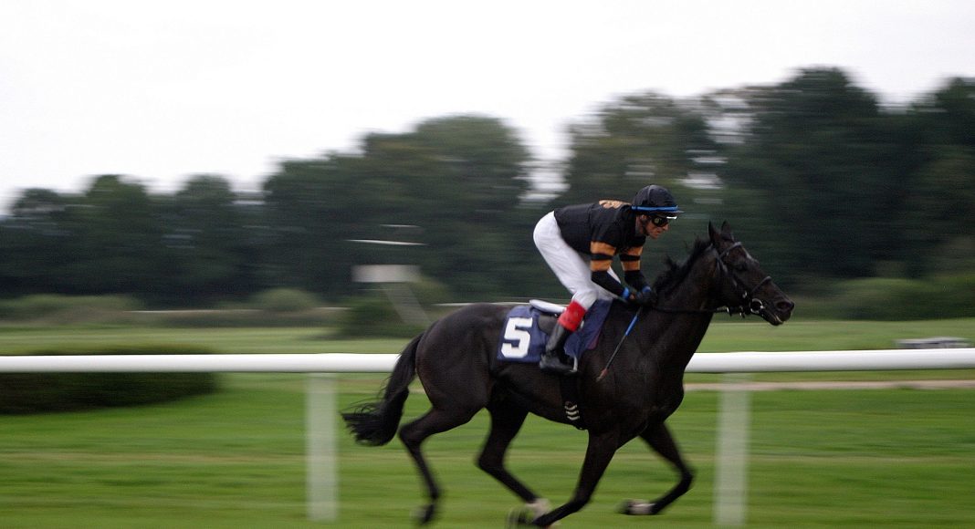 Конный спорт, скачки