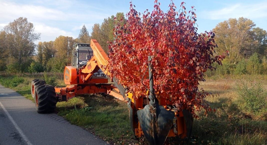 Фото Администрации Абакана Фото Администрации Абакана