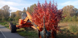 Фото Администрации Абакана