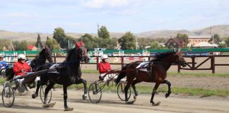 Соревнования. Уртун тойы. Фото из телеграм-канала Валентина Коновалова