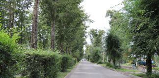 Фото: Абакан.рф