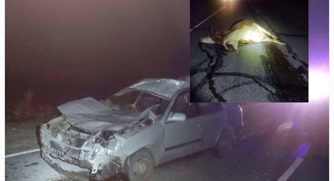 Фото Госавтоинспекции Хакасии ДТП