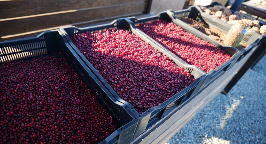 Фото предоставлено пресс-службой центра «Мой бизнес»