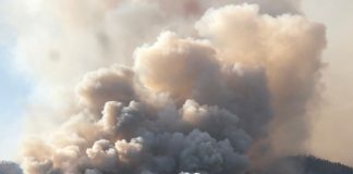 Фото предоставлено пресс-службой Минлеса РХ