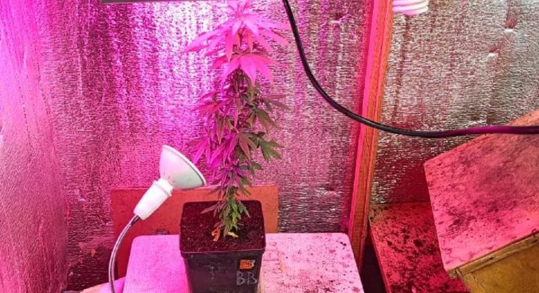 Фото пресс-службы МВД Хакасии Фото пресс-службы МВД Хакасии