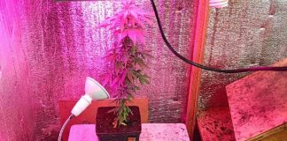 Фото пресс-службы МВД Хакасии