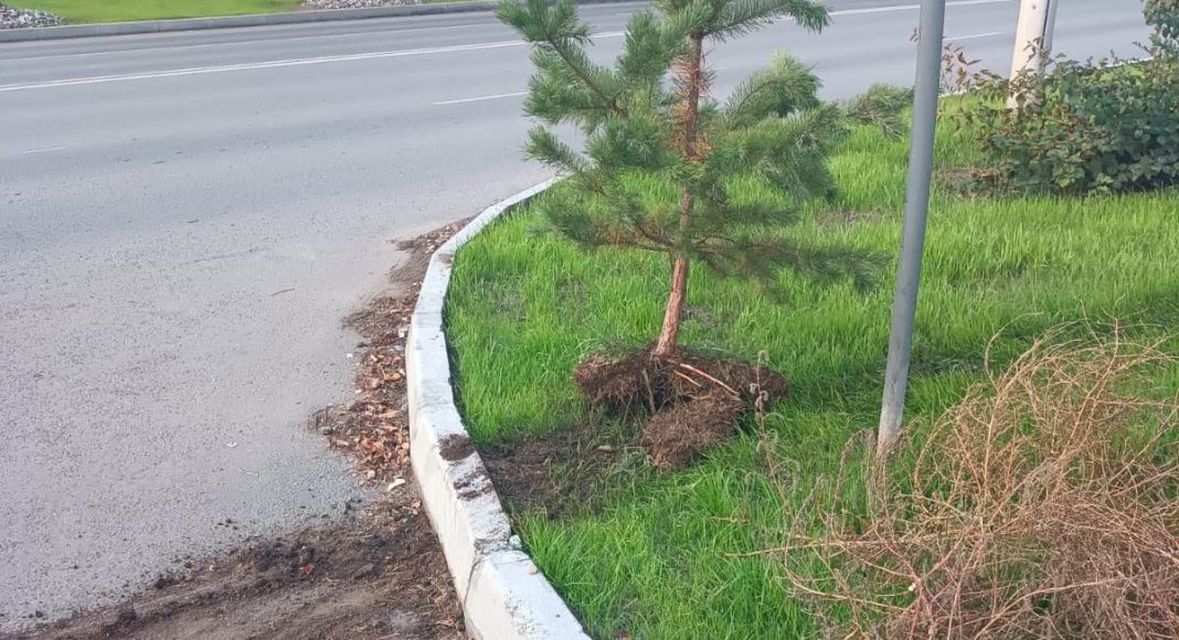 Фото Администрации Абакана