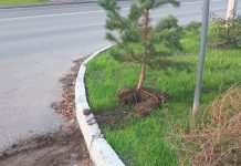 Фото Администрации Абакана